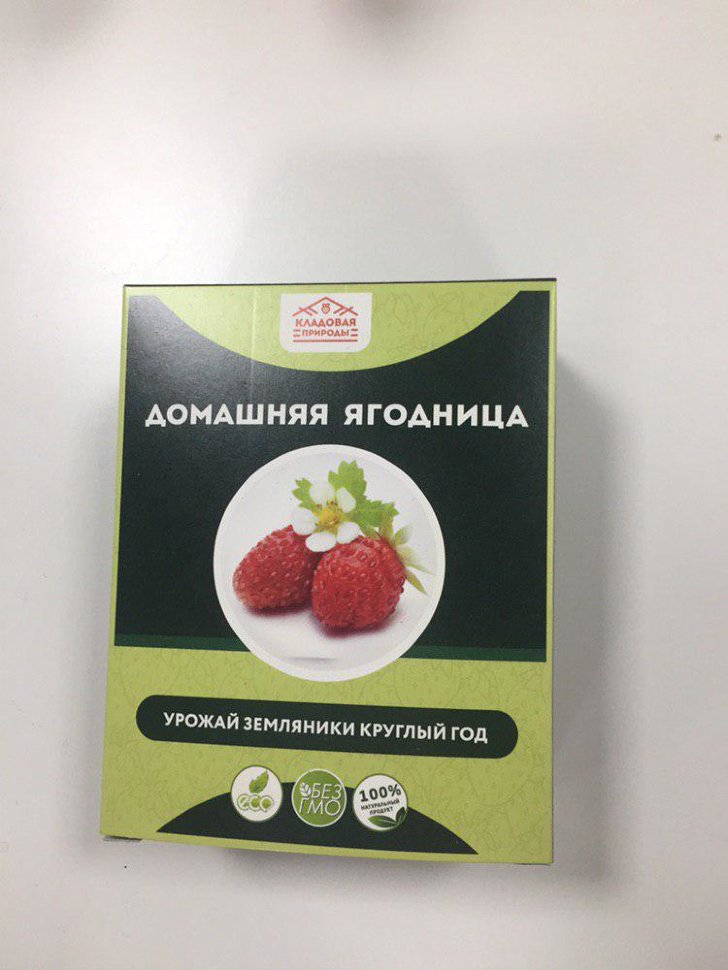 Домашняя ягодница в Москве