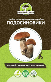 Домашняя грибница в Москве